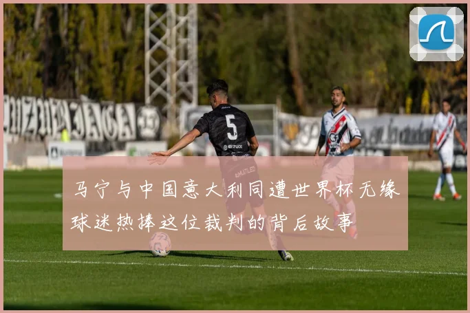 马宁与中国意大利同遭世界杯无缘球迷热捧这位裁判的背后故事