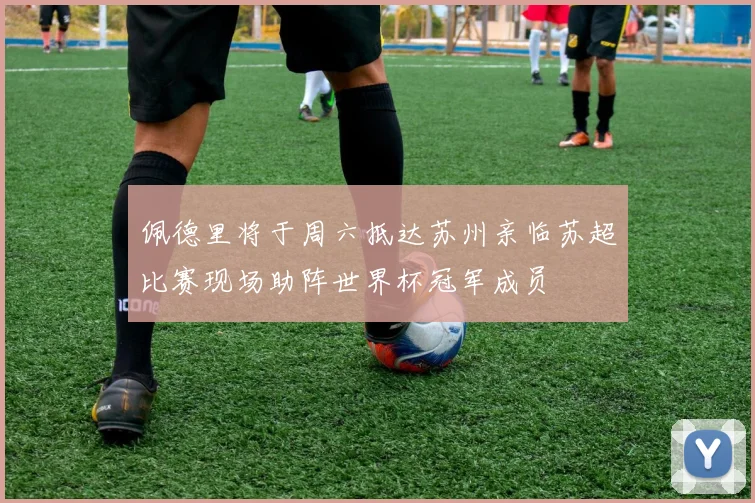 佩德里将于周六抵达苏州亲临苏超比赛现场助阵世界杯冠军成员